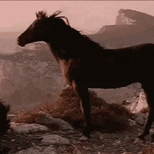 l4pTkyF1QfRIpjPVK.gif