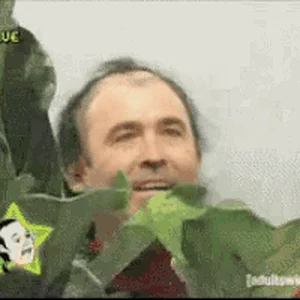 IMG_1387.gif