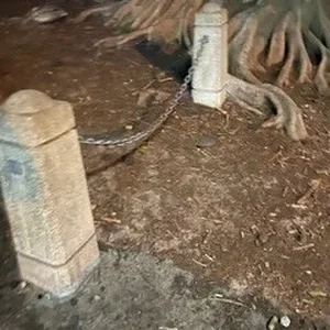 1779347115952.webp