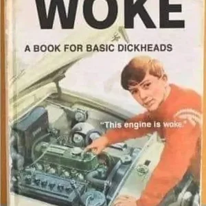 1779348447911.webp