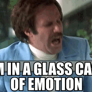 anchorman-emotion.gif