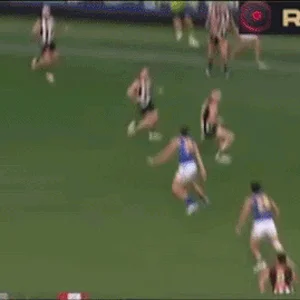 2026-R11-Quaynor.gif