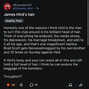 Media '1000006652.webp' in category 'Essendon'