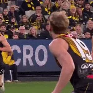 312991f01063baaa.gif