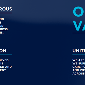 values.png