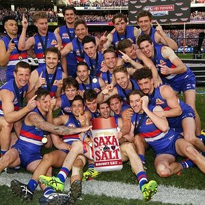 western-bulldogs-2016-grand-final_19vfzs99zitgq1sifudobwmn9u.jpg