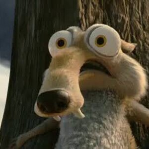 images (25).jpeg