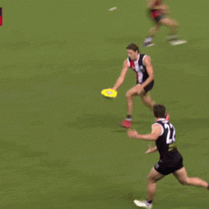 hunter-clark-stkildafc.gif