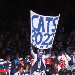 catman.JPG