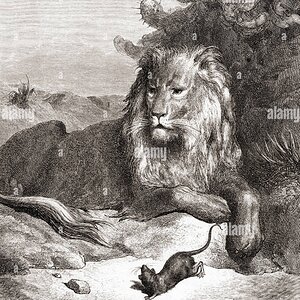gustave-dors-illustration-of-la-fontaines-fable-the-lion-and-the-mouse-EWN51B(1).jpg