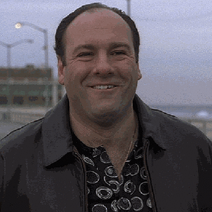 057F9A33-C068-4890-8281-08B2050E88C5.gif