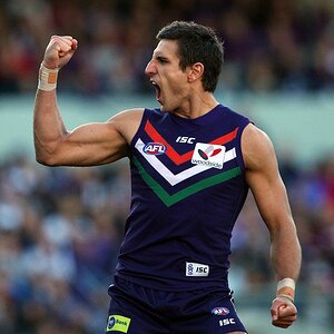 freo-concept.jpg