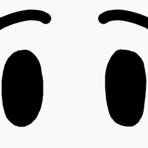 ezgif.com-gif-maker (2).gif