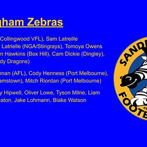2023 VFL list changes (18).jpg