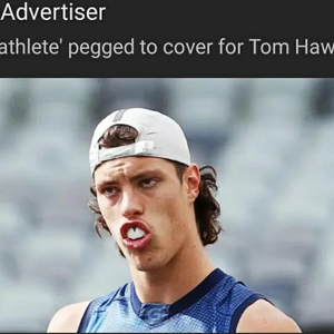 1674118865265.png