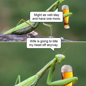 1649688141689.png