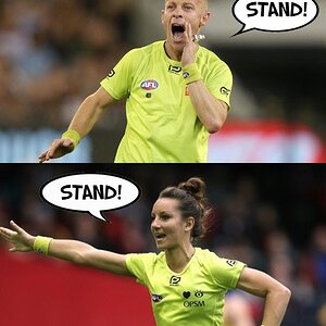 stand.jpg