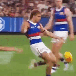 bump 20230319 Pickett.gif