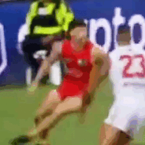 bump 20230319 Buddy.gif