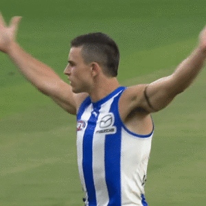 ldu.gif
