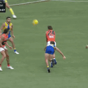 CA5997E0-BC65-4EFE-A407-D01859FB96E3.gif