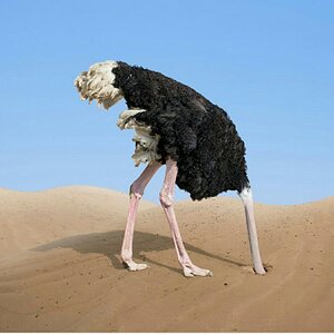 Gil nothing to see here.jpg