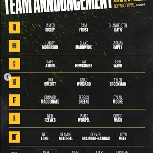 Screenshot 2023-04-14 at 17-09-22 Hawthorn Football Club (@hawthornfc) • Instagram photos and ...png