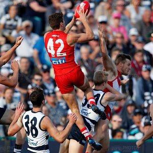 fox robbie 2018 round 08 geelong.jpg