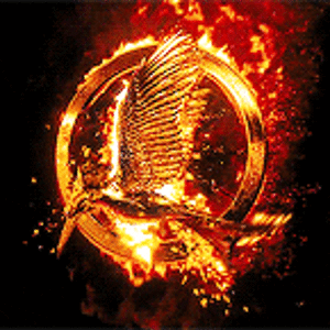 1682822291994.gif