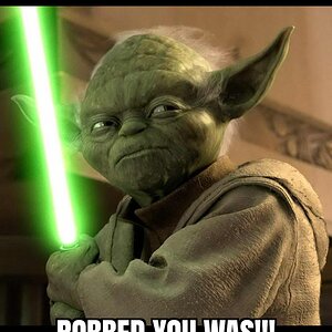 Yoda 06052023194741.jpg