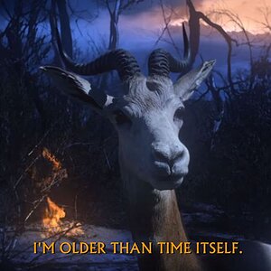 goat.jpg