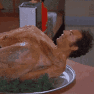 cooked-myself-turkey-kramer.gif