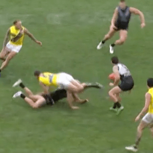 Screen Shot 2023-05-29 at 8.05.59 pm.png