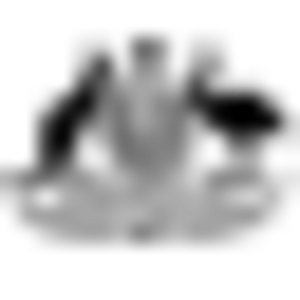 1685399236905.png