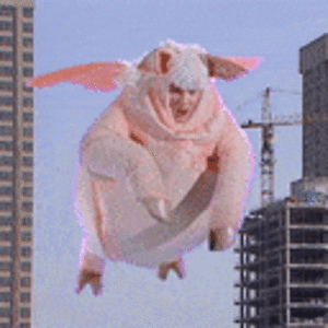 1685402686952.gif