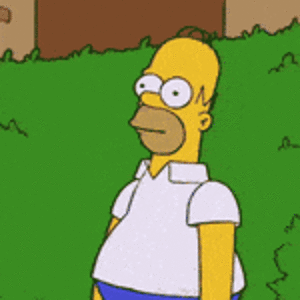 IMG_5005.gif
