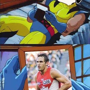 Wolverine Crush 1039.jpg