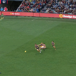 72995D5B-35BB-4064-A466-FAD22C18E536.gif