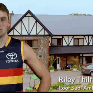 Thilthorpe - Roof Seal.gif