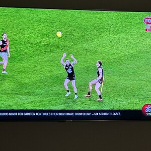 IMG_3905.JPG