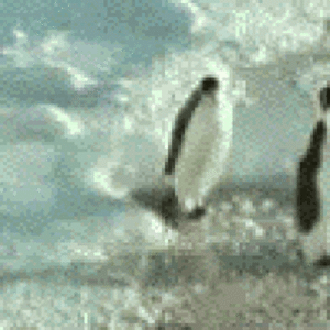 200 (40).gif