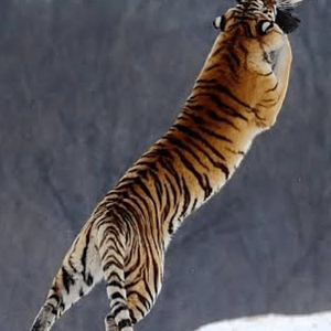 1651234794783.png