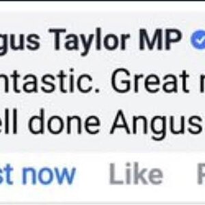 images (1) (14).jpeg