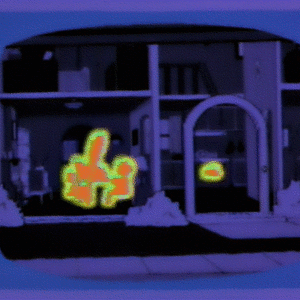 IMG_7348.gif