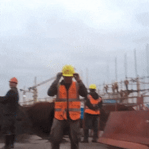 AccomplishedCreepyAddax-size_restricted.gif