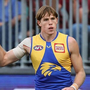 Dan Curtin - West Coast.jpg